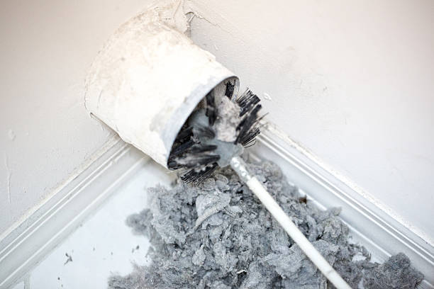 Best HVAC Air Duct Cleaning  in Deming, NM